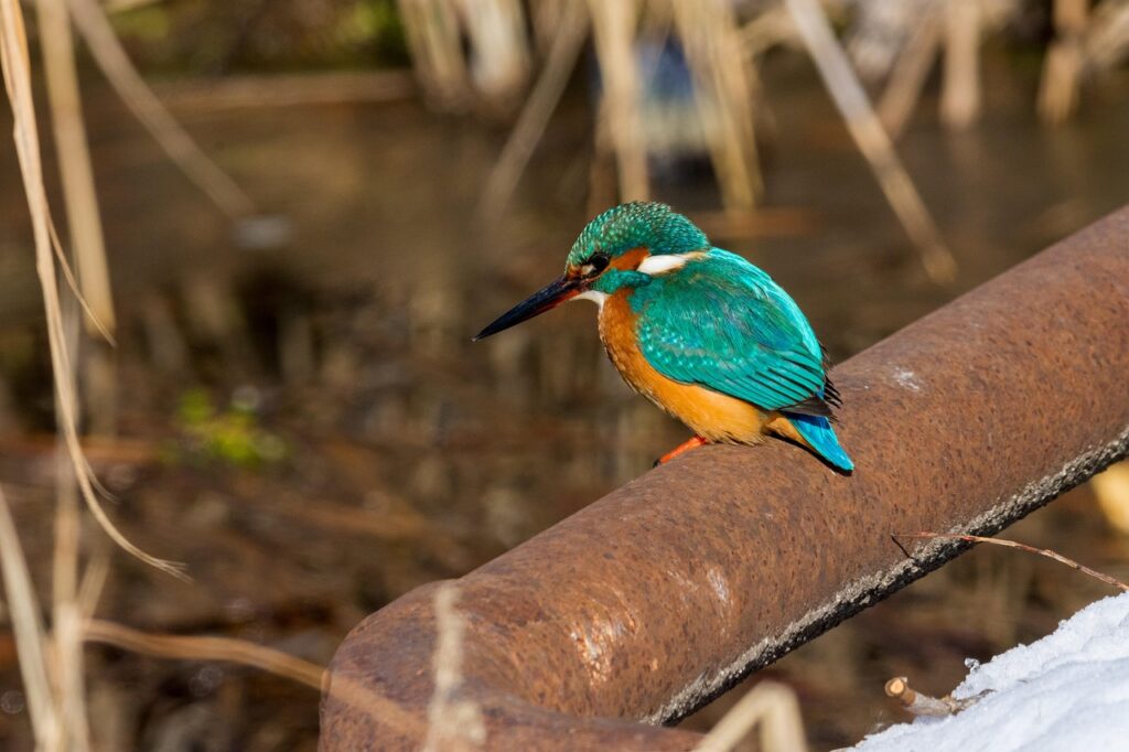 営業職を続けるべきか転職すべきかの悩みを解決する方法は？