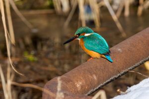 営業職を続けるべきか転職すべきかの悩みを解決する方法は？