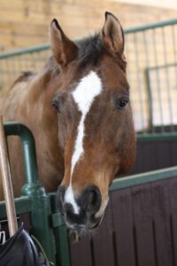 営業職の女性が管理職を目指すために必要なスキルは？