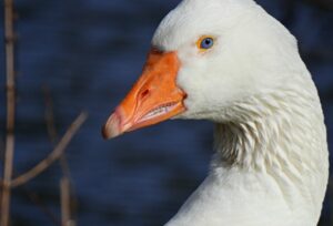 20代の未経験者が作成する職務経歴書のポイントは？