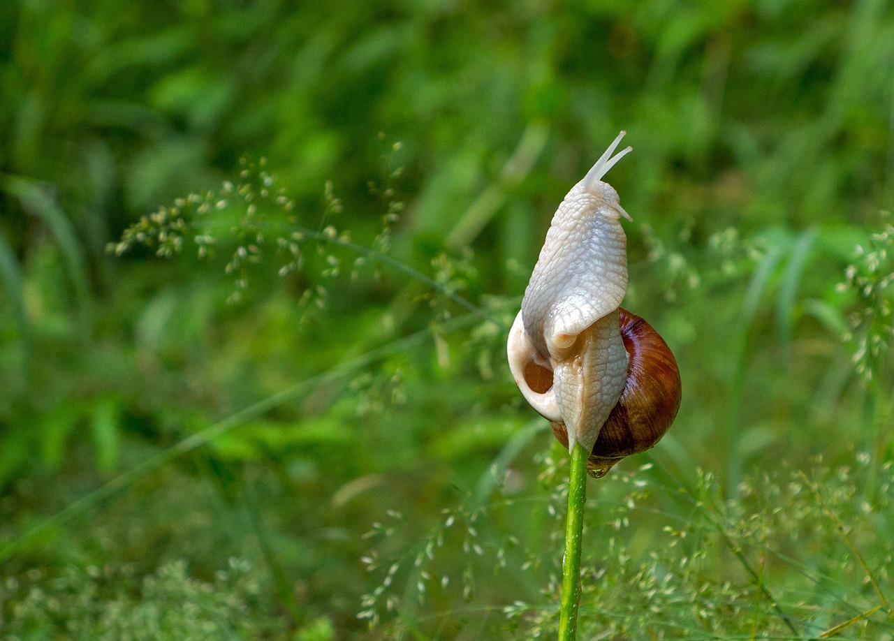 営業職の志望動機の例としてどんなものがあるの？