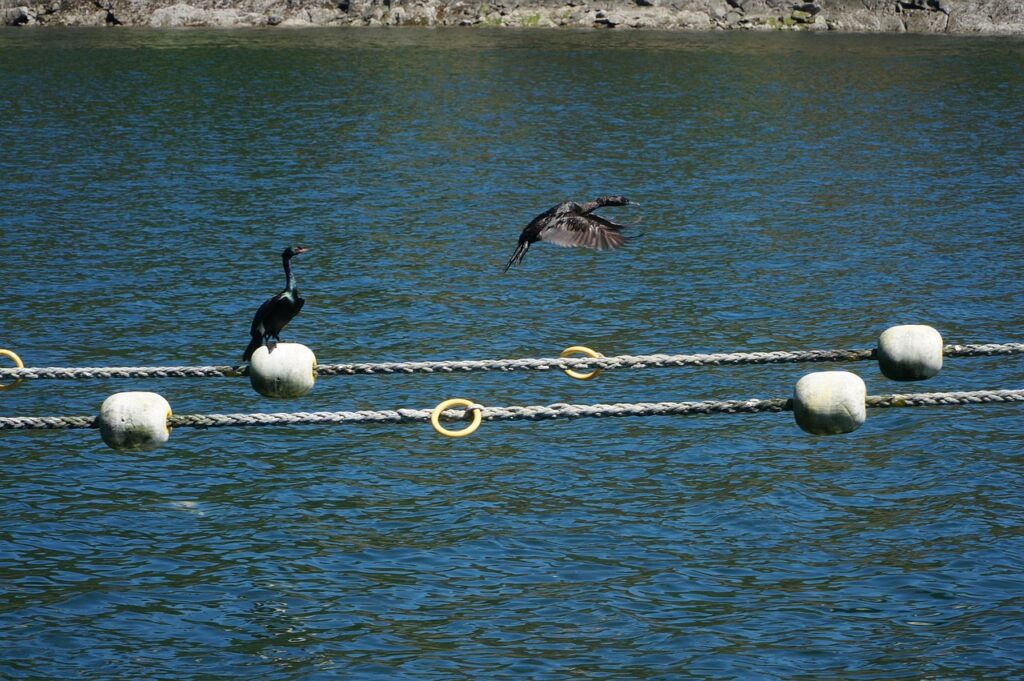 営業からSE転職するためのコツは？