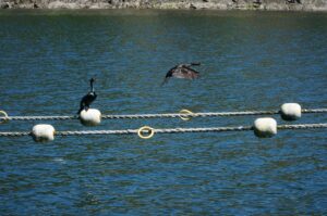 営業からSE転職するためのコツは？