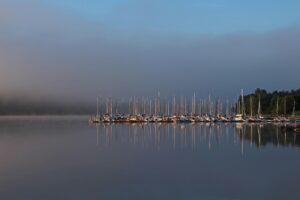 営業からSE転職に必要なスキルとは？