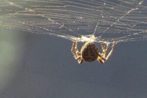 営業からWeb業界への転職に成功するためのコツは？