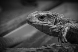 営業転職におすすめのエージェントランキングは？