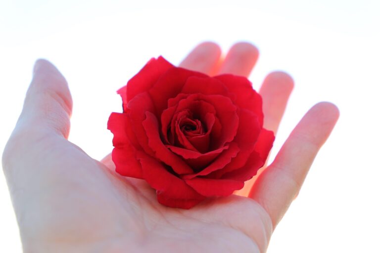 営業職の転職がうまくいかない原因は何？